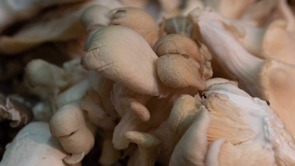 Vegetables Without a Mask
