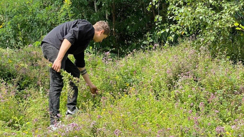 Foraging Wild Herbs in Berlin: Legal Rules & How They Reach the Plate at Bonvivant