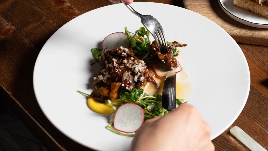 Mushroom Foraging in Berlin: Rules, Advice & Fine Dining Insights